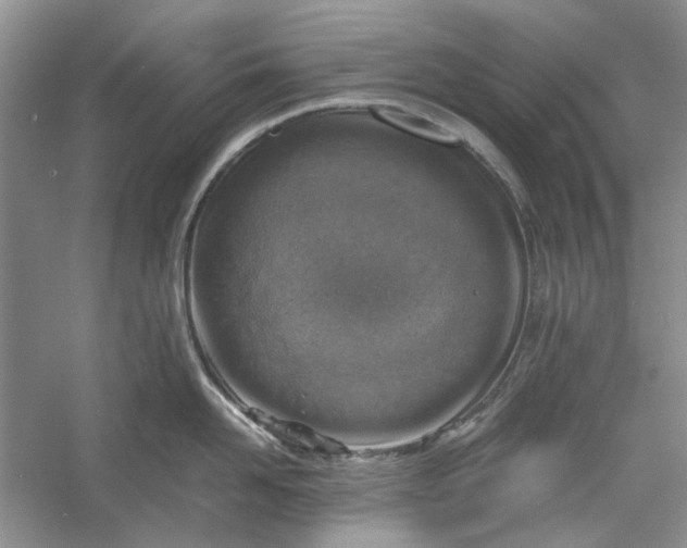 X0000060550958200511171535