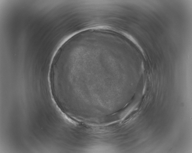 X0000060550959200511171535