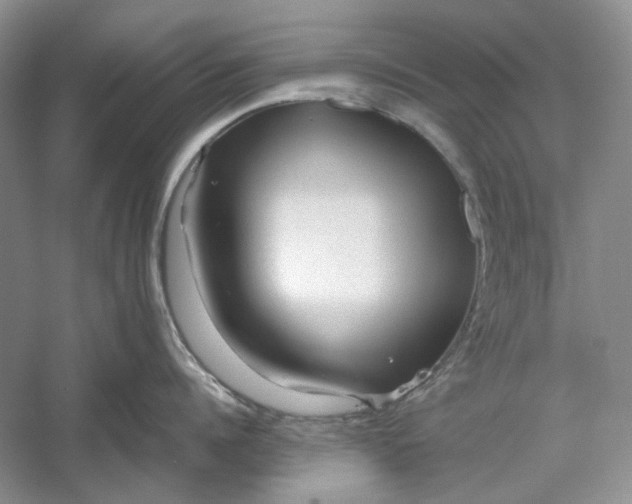 X0000060550960200511171535