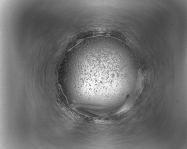 X0000060550961200511171534