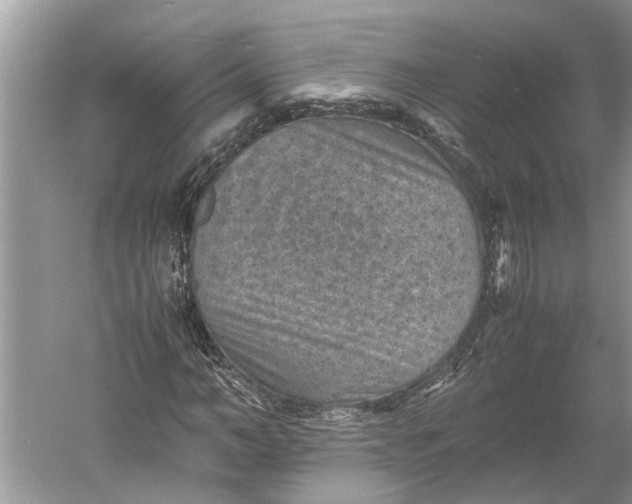 X0000060550966200511171534