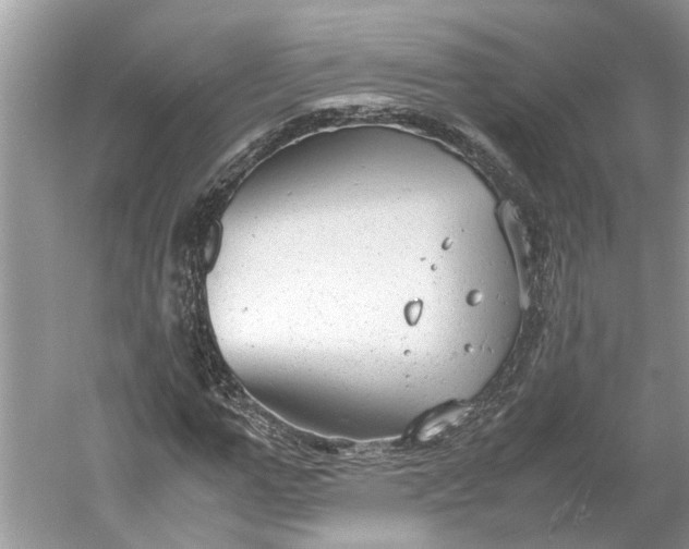 X0000060550967200511171534