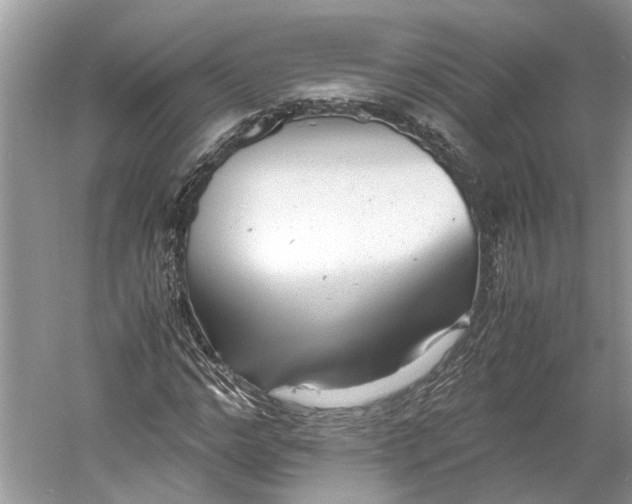 X0000060550968200511171534