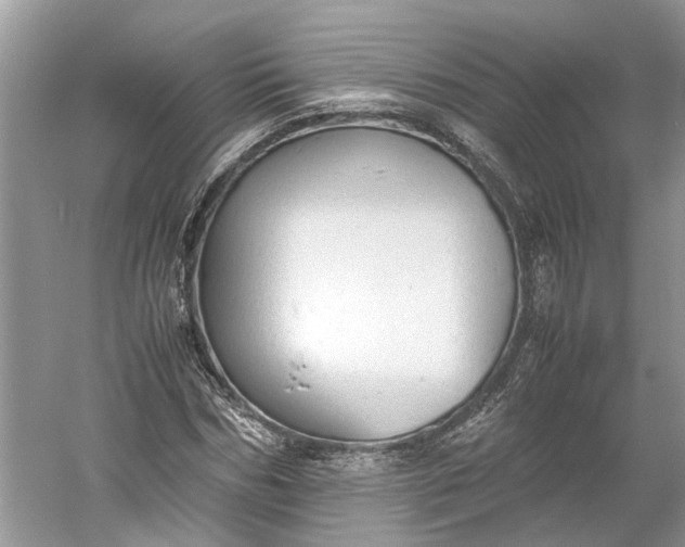 X0000060550970200511171534