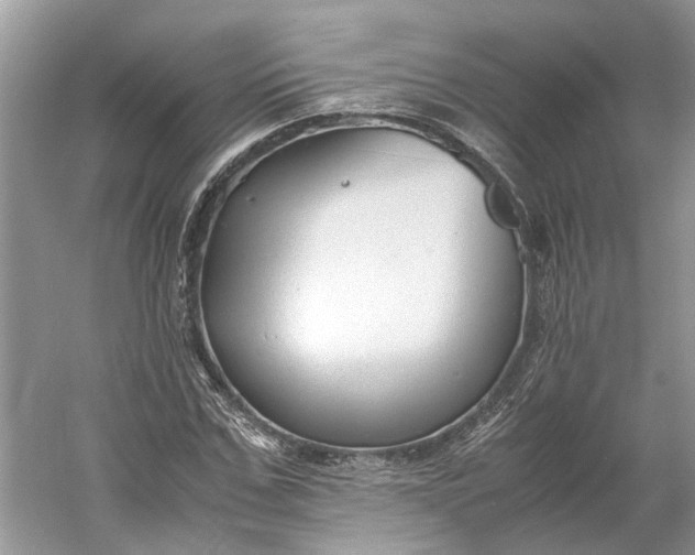 X0000060550971200511171534