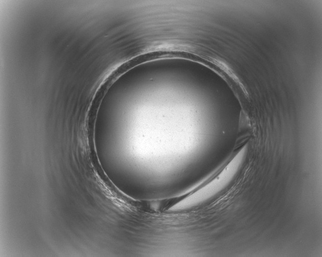 X0000060550972200511171534