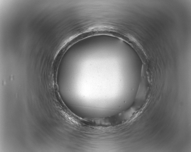 X0000060550973200511171534