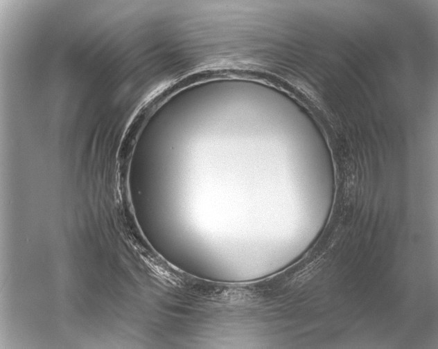 X0000060550974200511171534