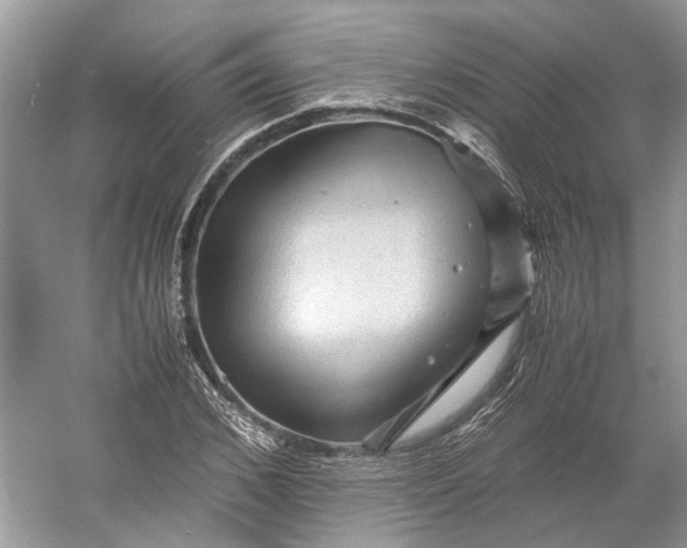 X0000060550976200511171534