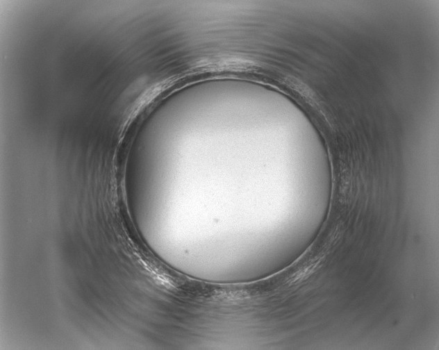 X0000060550978200511171534