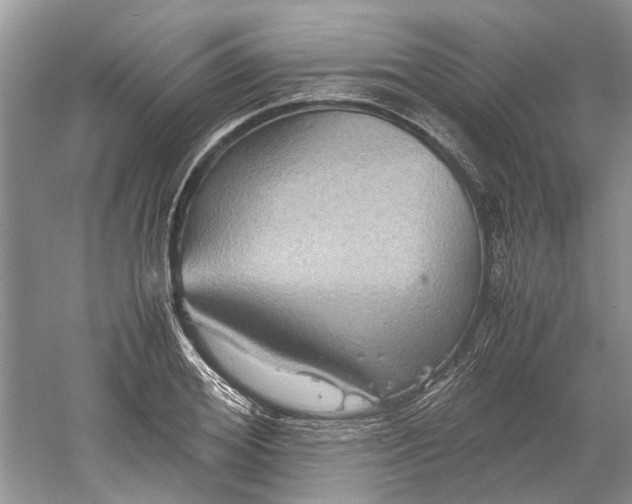 X0000060550980200511171534