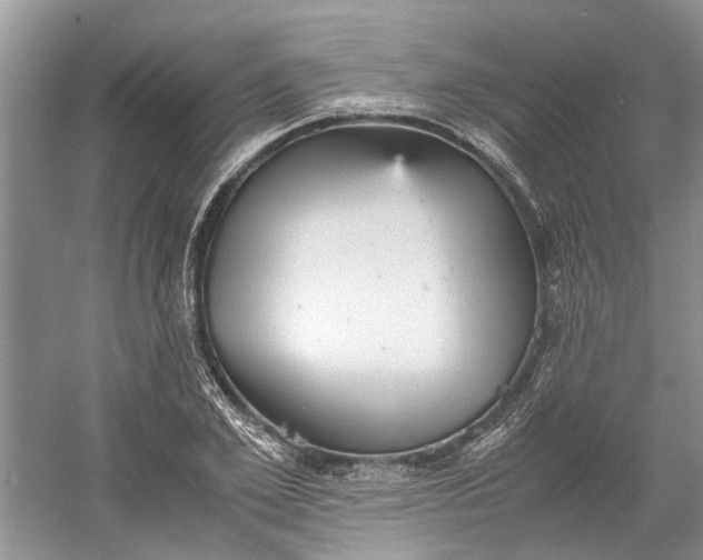 X0000060550981200511171534