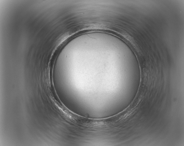 X0000060550982200511171534