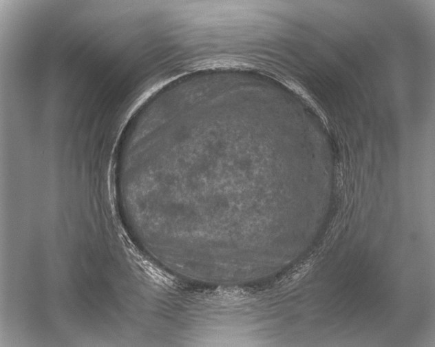 X0000060550983200511171534