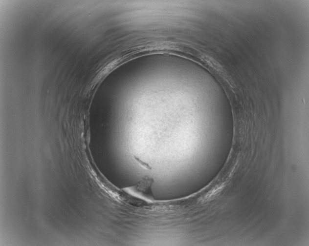 X0000060550985200511171534