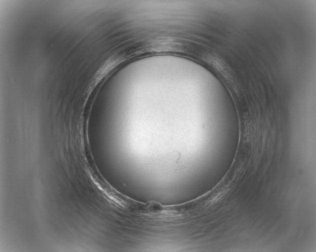 X0000060550986200511171534