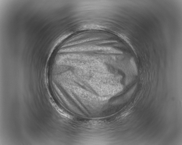 X0000060550987200511171534