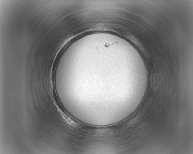 X0000060550988200511171534