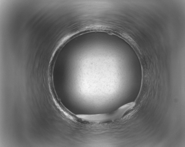 X0000060550989200511171534