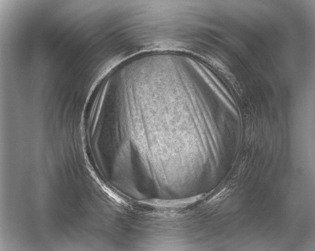 X0000060550990200511171534