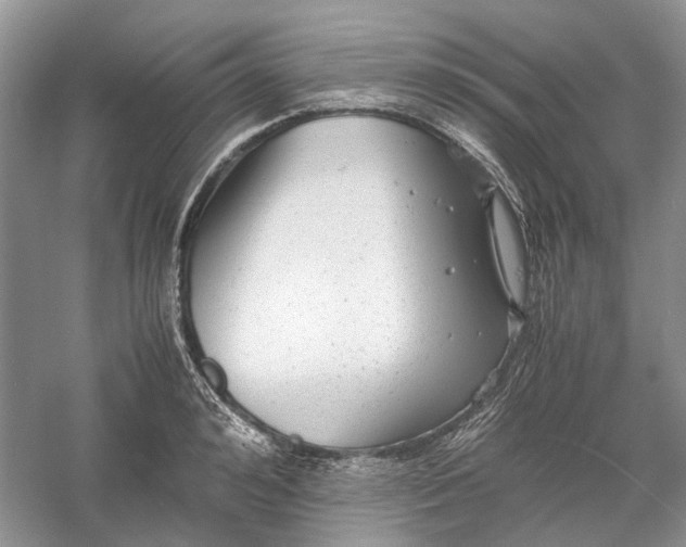 X0000060550992200511171534