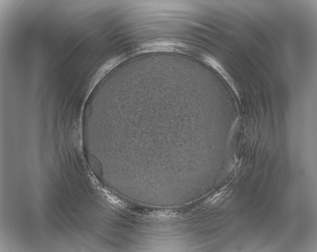 X0000060550994200511171534