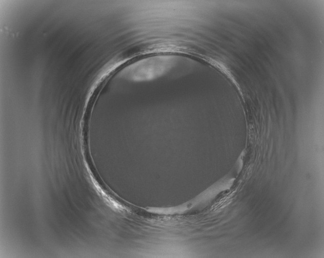 X0000060550995200511171534