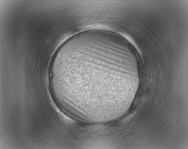 X0000060550999200511171534