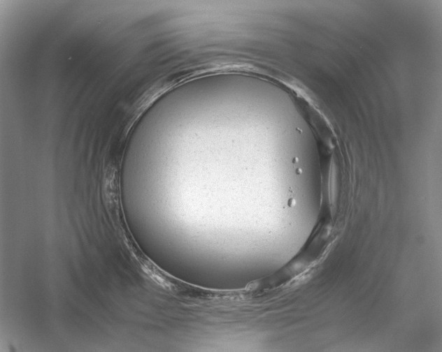 X0000060551001200511171534