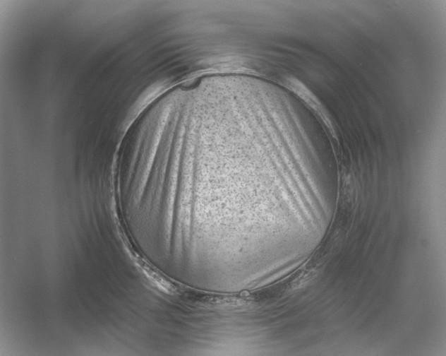 X0000060551002200511171534