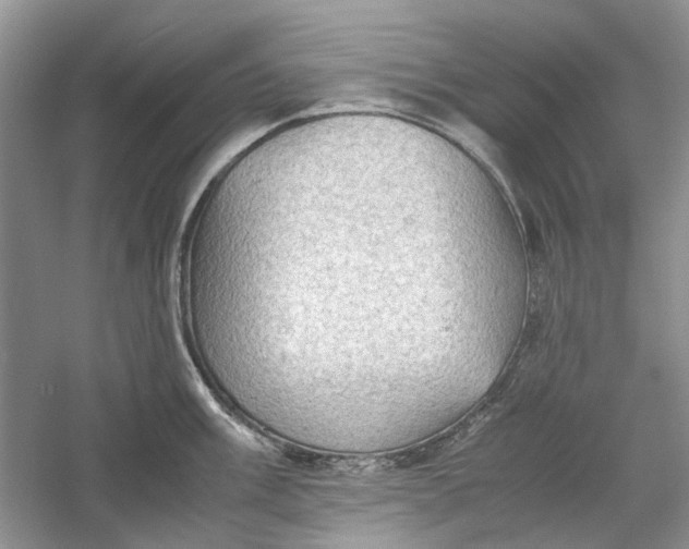 X0000060551003200511171534