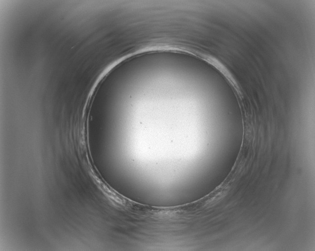 X0000060551004200511171534