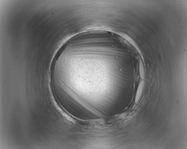 X0000060551005200511171534