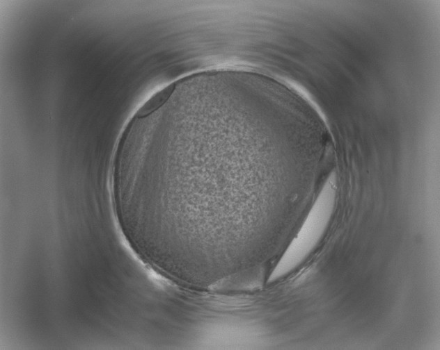 X0000060551007200511171534