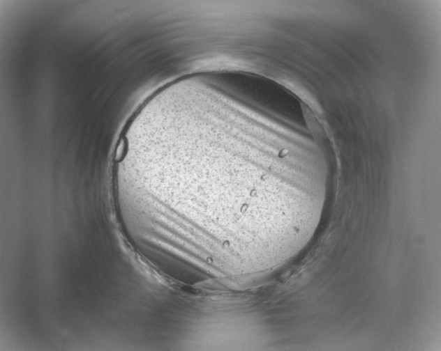 X0000060551008200511171534