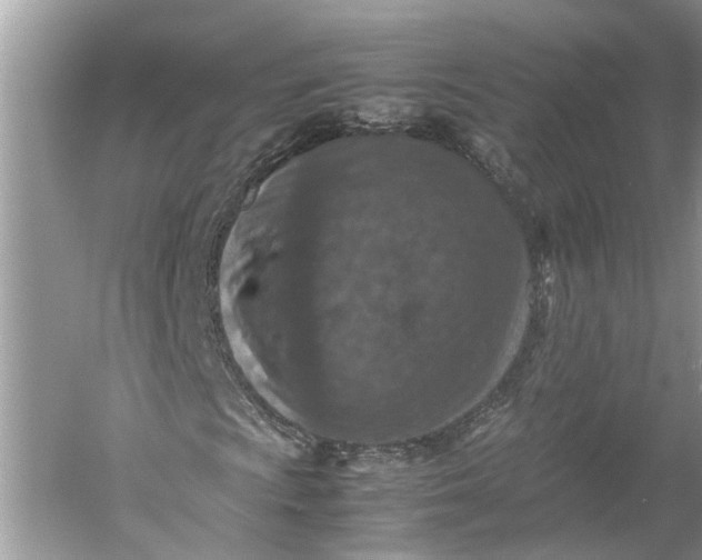 X0000060551009200511171533