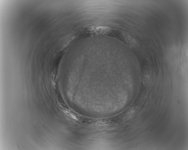 X0000060551010200511171533