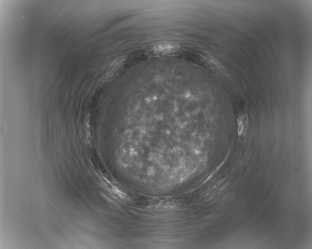 X0000060551011200511171533