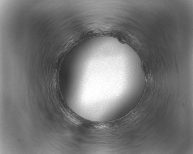 X0000060551012200511171533