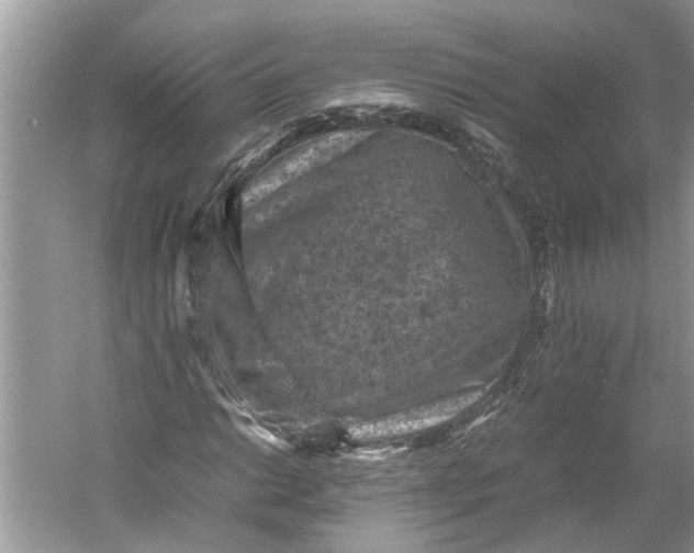 X0000060551014200511171533