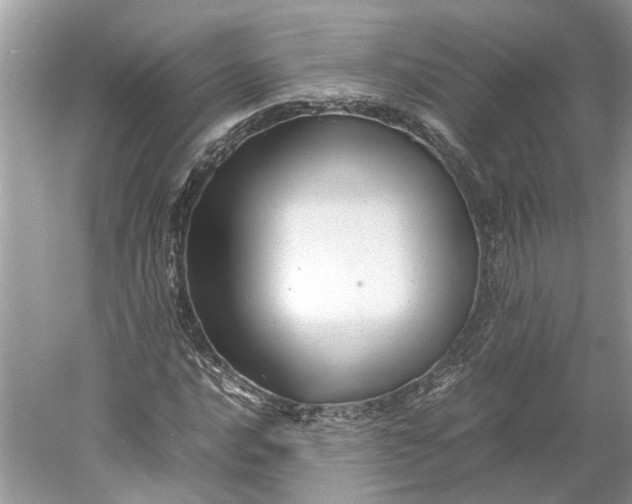 X0000060551016200511171533