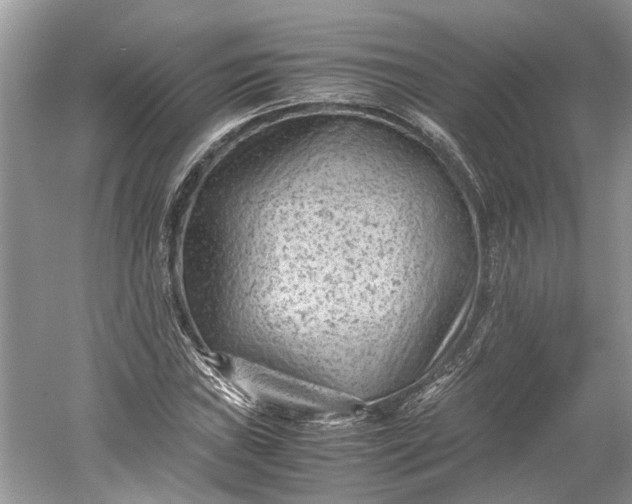 X0000060551019200511171533