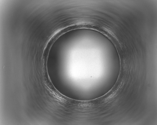 X0000060551021200511171533