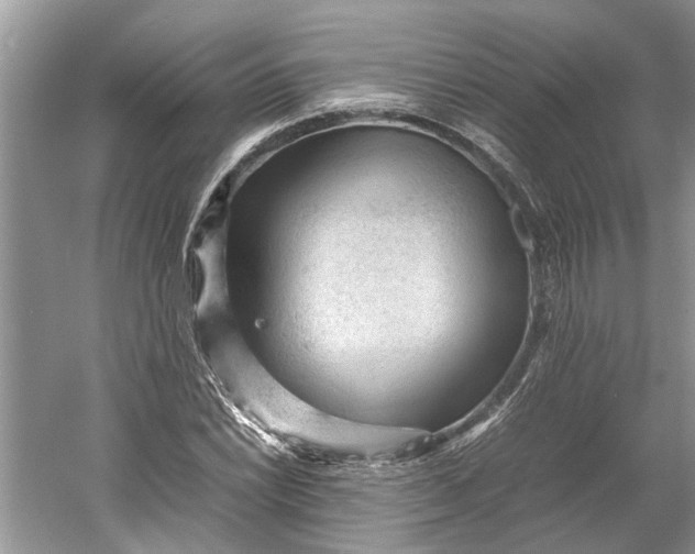 X0000060551022200511171533