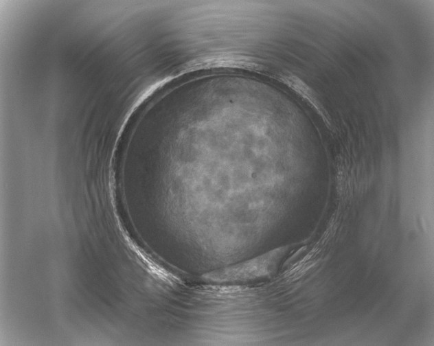 X0000060551024200511171533