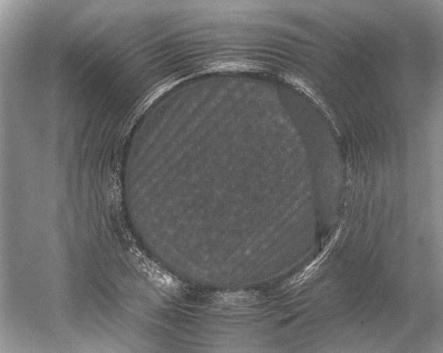 X0000060551025200511171533