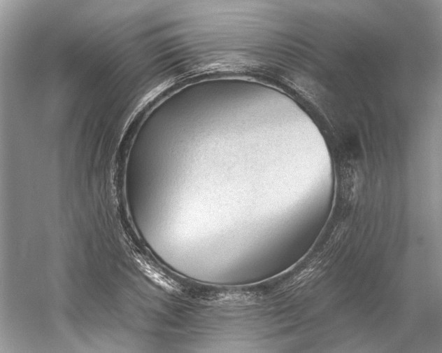 X0000060551026200511171533