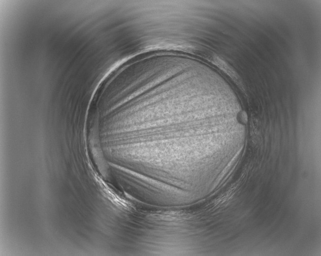 X0000060551028200511171533