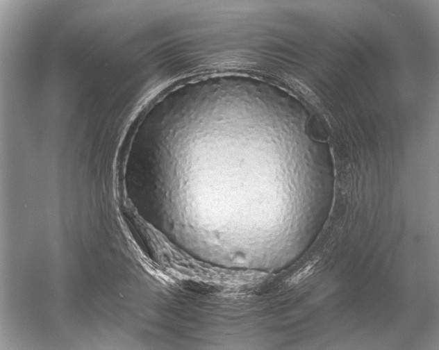 X0000060551031200511171533