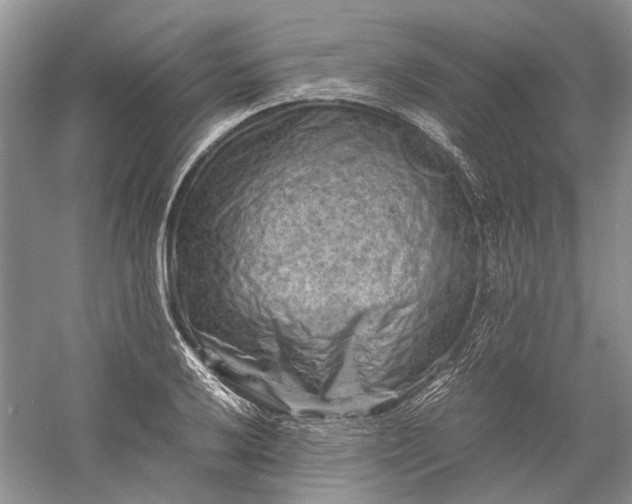 X0000060551032200511171533